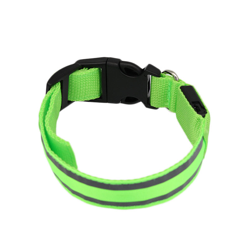 LumiGlow LED Dog Collar
