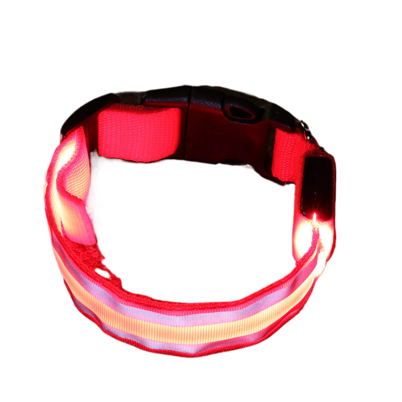 LumiGlow LED Dog Collar